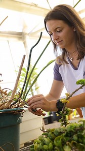 We're ranked #32 in First-Year Experience among all universities for a reason! 🎉 We can't wait for #FU2027 to get to campus and see why for themselves. What are some things that incoming first-year students at Furman can look forward to? | Furman University
