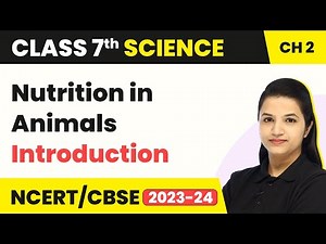 Class 7 Science Chapter 2 | Introduction - Nutrition in Animals