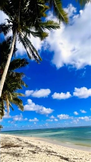 Rarotonga Tropical Beach Waves 🌴 Cook Islands