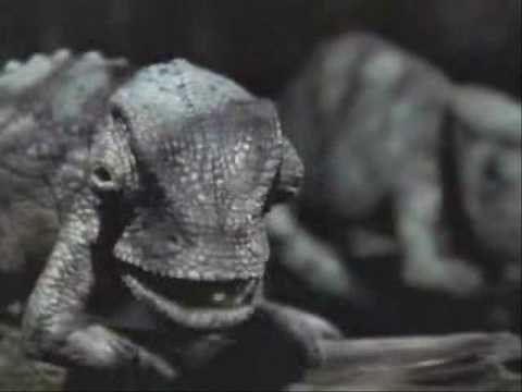 Critter Fest: Budweiser Frogs Lizards and Ferret!! 18 clips!