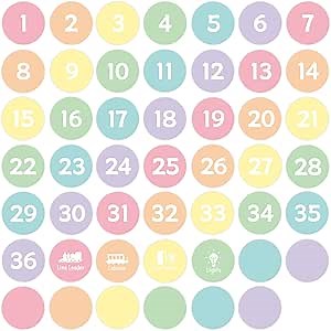 Ctosree 5 Colors Circle Thermal Sticker Labels Self Adhesive Round Direct Thermal Labels Multipurpose Printer Stickers for DIY, Name Tag 250 Pcs/1 Roll(Macaron Gradient Color,2 Inch)