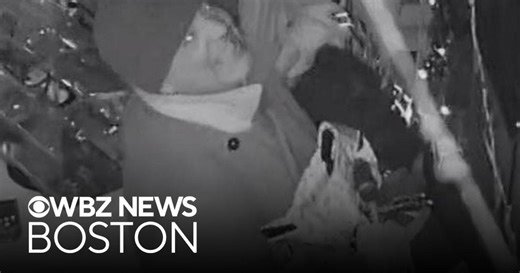 Person accused of stealing $15,000 worth of purses from Worcester store