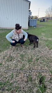 450K views · 14K reactions | They all blur together  | Becca Miller | Facebook