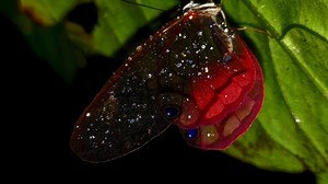 macizo | Macizo Expeditions