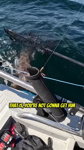 Your Saltwater Guide on Instagram: "We hooked a GIANT FISH in Alaska! Your Saltwater Guide is Sponsored by McCarty Yacht Group."