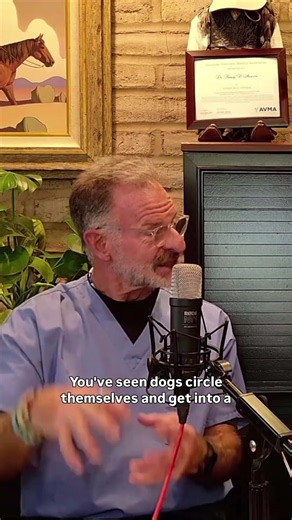 Your puppy needs a crate!