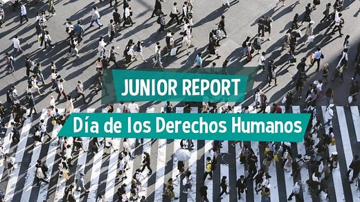 ¿Por qué se creó la Declaración de los Derechos Humanos?