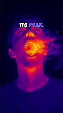 The Mystery of the Yawn