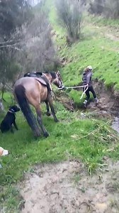 Casey Watson on Reels