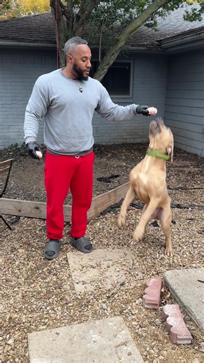 Feeding the big guy | Feeding Animals