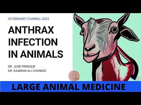 WHAT IS ANTHRAX DISEASE?