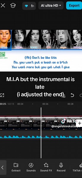 M.I.A Instrumental Adjusted for Optimal Listening