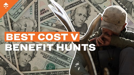 Hunting on a Budget? Here Are 2025’s Best Affordable Options! | Hunting Cost Vs. Benefit Analysis // GOHUNT. The Hunting Company