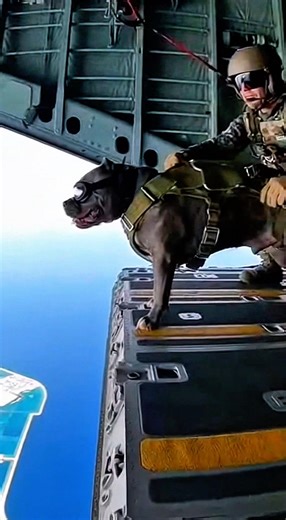 Courage at 30,000 Feet