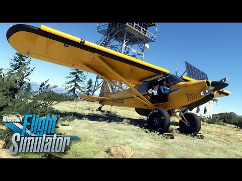 BEAUTIFUL Freeware XCub Extreme Bush MONSTER! - MSFS.