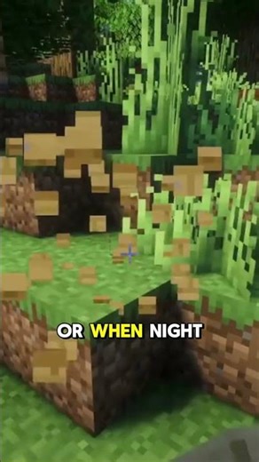 Bee Nest vs. Beehive: What’s the Difference? 🤔