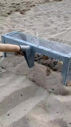 Discovering Lost Treasures on the Beach