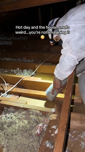 When temperatures start climbing, attics turn into ovens. Everything up there gets baked. Rodent droppings. Urine. Dead animals. Contaminated insulation. That’s why so many homeowners suddenly notice strange smells coming from upstairs every summer. Most people blame the AC. The attic is usually telling a different story. Building a national company Documenting the journey NJ based. Long Island operations launching in July: https://www.atticfanatics.com/long-island I’m heading to the moon. Wanna