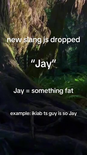 Understanding the Meaning of 'Jay' in Modern Slang