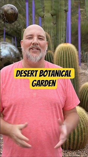 Desert Botanical Garden: DON'T MISS This 50,000 Desert Plant Oasis