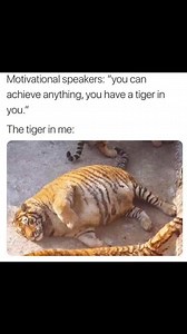 4.2K views · 36 reactions | Random Relatable Quotes on Reels | Facebook