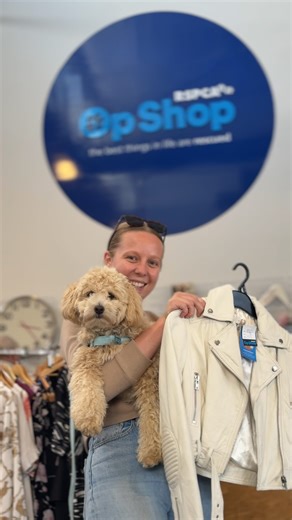 Head to your nearest RSPCA Op Shop this Easter and score some discounts 🐣 #easteregghunt #opshops #rspcasa #adelaide | RSPCA South Australia Op Shops
