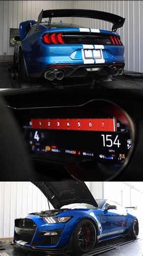 Fathouse Performance on Instagram: "1000R Supercharged Wide Body GT500SE 💪🏼 This @shelbyamerican Wide Body Signature Edition GT500 is making over 1000 whp with our 1000R upgrade package ✅ 1013 whp 707 ft lbs on E85 Tuned w/ @motecusa M150 by @johnsontuning #FathousePerformance #1000Rsupercharged #1000Rgt500 #GT500SE #shelbyamerican #whipplesuperchargers #boostedmustangs #mustangfanclub #supreme_stangs #mustangaddicts #MoTeC #JohnsonTuning #WideBody #GT500predator"