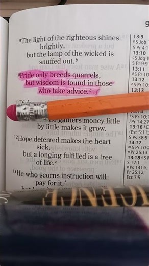 Proverbs 13:10 Bible Verse