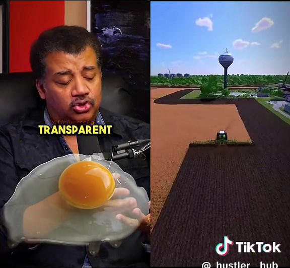 Encouraging Curiosity: Fun Science Experiments for Kids with Eggs