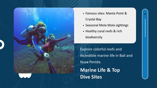 Bali Dive Experience