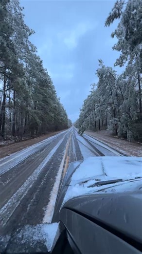 East Texas Banner on Reels