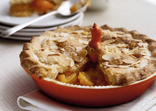 What Is a Pie Bird? Do I Really Need to Use One?