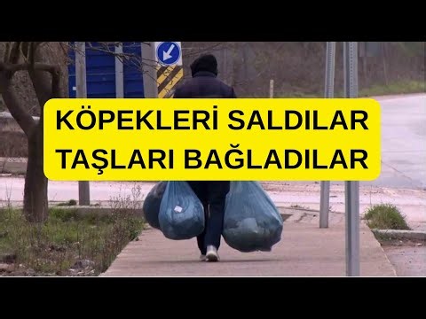 We do not accept a system where crime is rewarded and speech is punished.