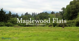 Maplewood Flats In North Vancouver | Outdoor Vancouver