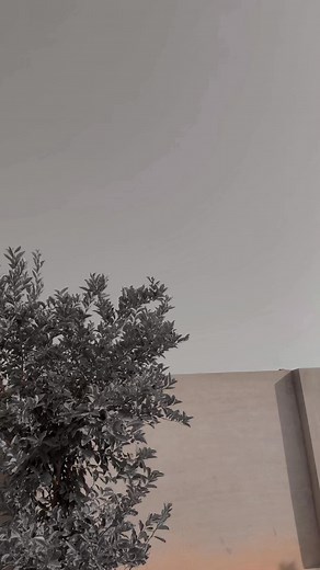 Muhammad Hassan on Reels