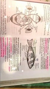 class 10 chapter 5 of science most important question