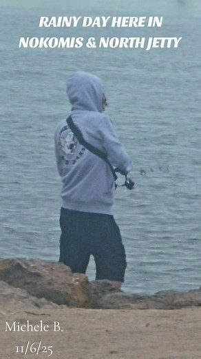 Rainy but plenty of people fishing!! #rainy #fyp #nokomis #November #florida | Michele Barbieri