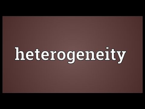 Heterogeneity Meaning