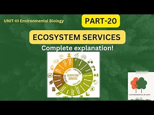 Ecosystem services | Environmental Science