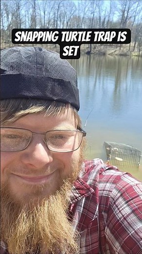 snapping turtle trap is set