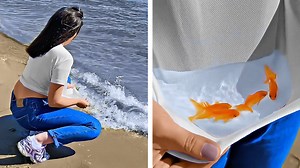 7.4M views · 2.8K reactions | Cool gadgets and inventions that are on an entirely new level.  | 5-Minute Crafts Teens | Facebook