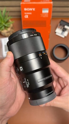 This Lens Made Me a Better Macro Photographer #sony #alpha #macrophotography
