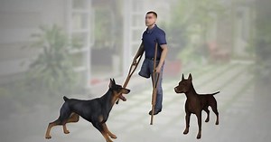 Can 2 con chó becgie đánh nhau, người đàn ông bị cắn chết