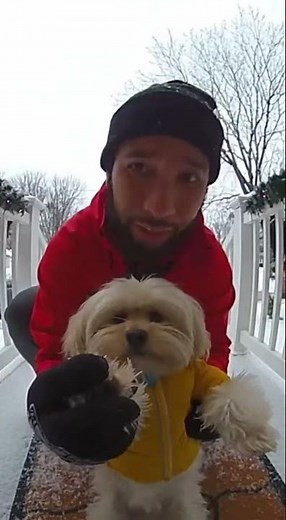 DoorDash Driver Saves Dog Then Gets Chased