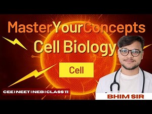 Cell Biology 101: Everything You Need to Know About the Cell!