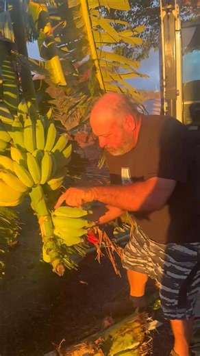 Clark Little on Reels