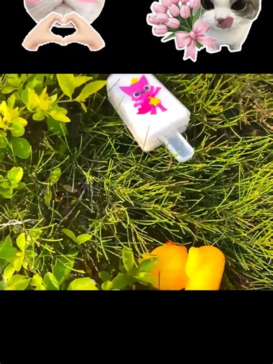 Looking COCOMELON Slime In The Park #lookingslime #asmr #satisfying #cocomelon #foryou #slimeasmr