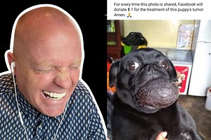 STUPID FACEBOOK POSTS! PART 4! 😂😂😂 | Tiny Tim's Adventures