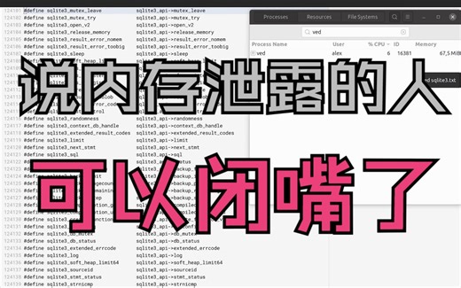 [双语字幕] 作者Alex亲自演示由{V语言}写的 |Ved|打开8MB文件0泄露!
