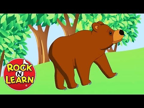 The Bear Went Over the Mountain | Songs for Kids